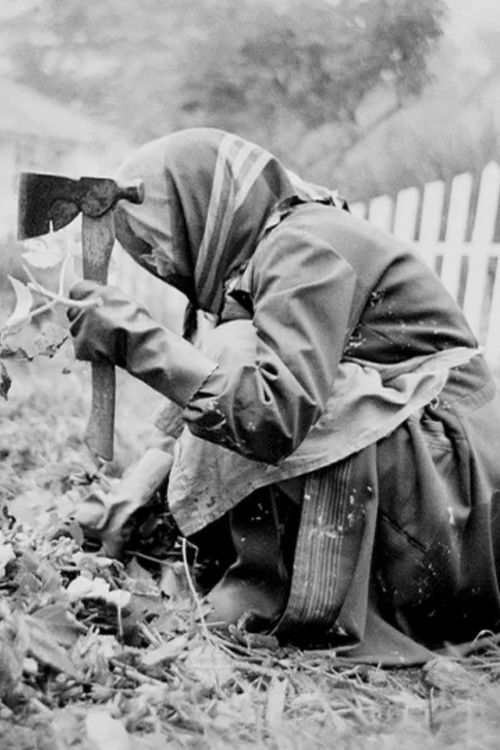 Paraskina záhrada (2015) poster