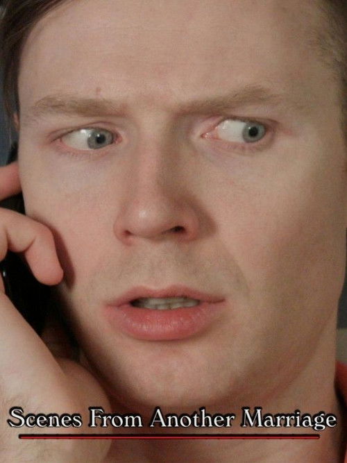 Scenes from Another Marriage (2016) poster