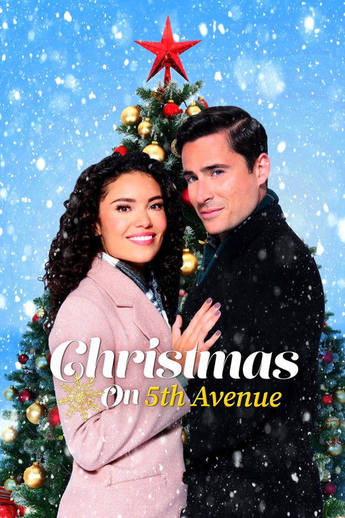 Christmas on 5th Avenue (2021) poster