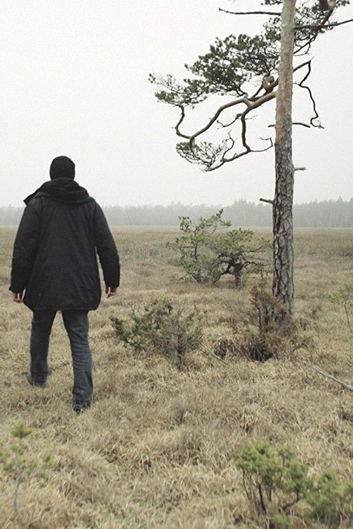 The Limestone Conflict (2016) poster