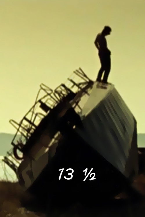 13½ (2010) poster