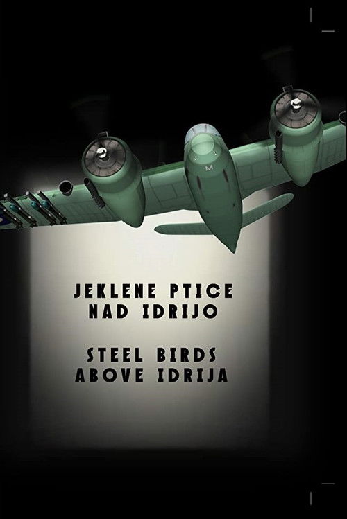 Steel Birds Above Idrija (2018) poster