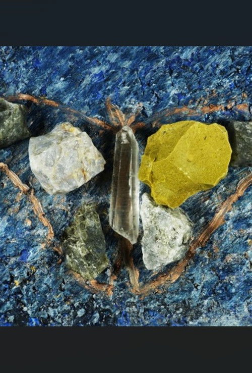 Vitruvian Moth (2023) poster