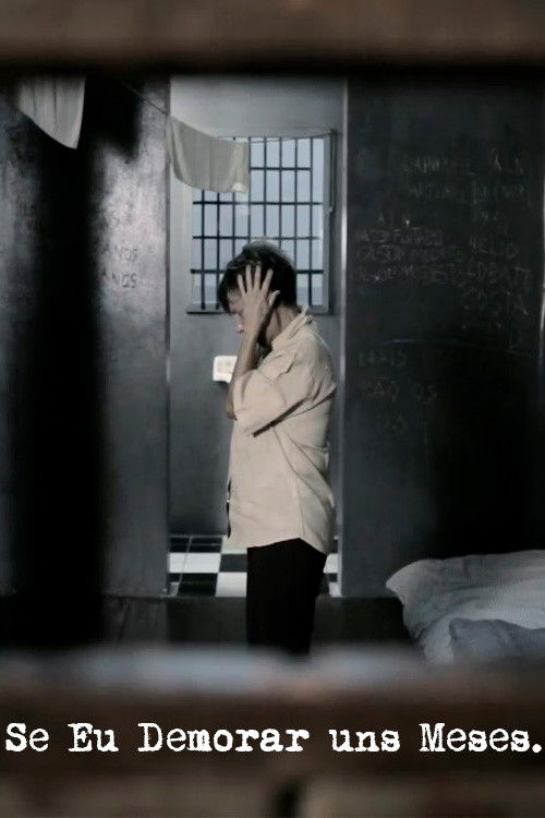 Se Eu Demorar uns Meses (2013) poster