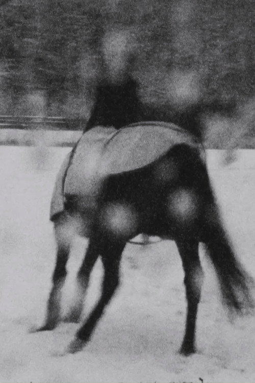 Im Schnee (2001) poster