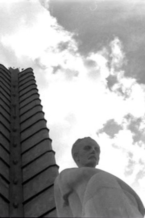 Personal Narrative of a Journey to the Equinoctial Regions of the New Continent: José Lezama Lima, the hereafter thereafter (2011) poster