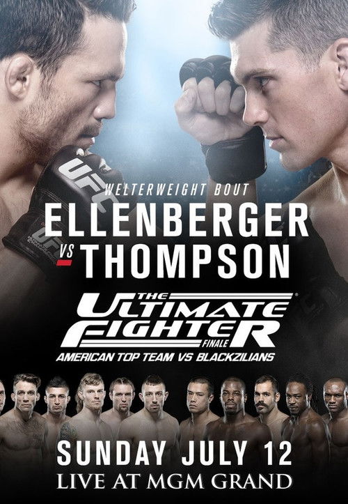 The Ultimate Fighter 21 Finale (2015) poster