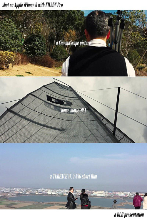 Home Movie #1 (2017) poster