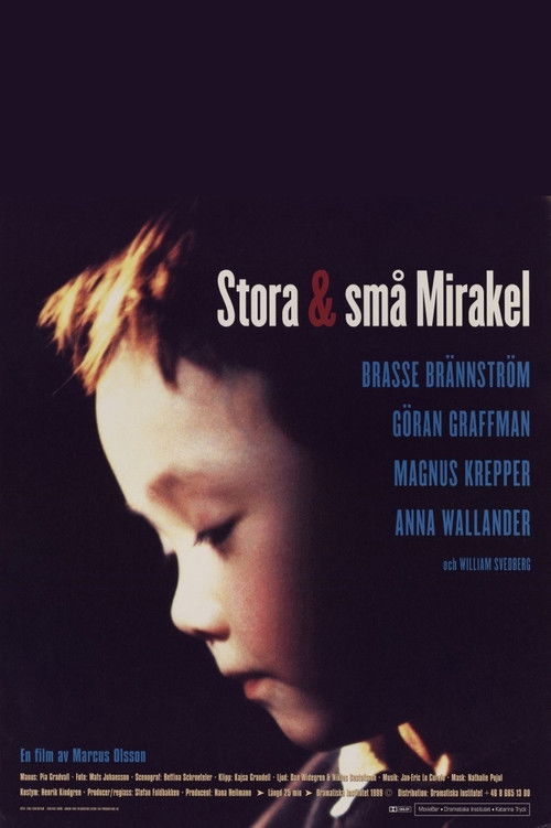 Major and Minor Miracles (1999) poster