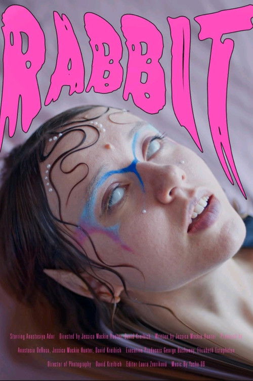 Rabbit (2024) poster