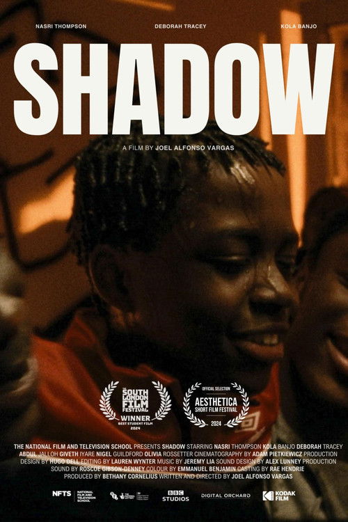 Shadow (2024) poster