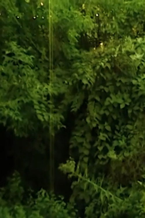 I love the sound cicadas make. (2023) poster