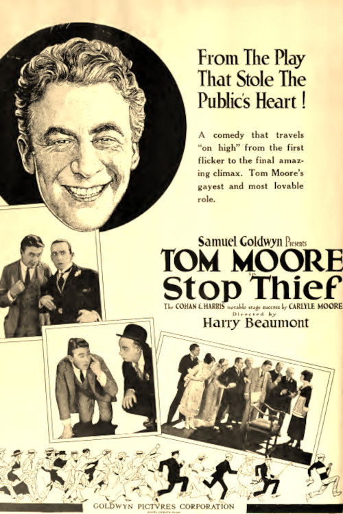 Stop Thief (1920) poster