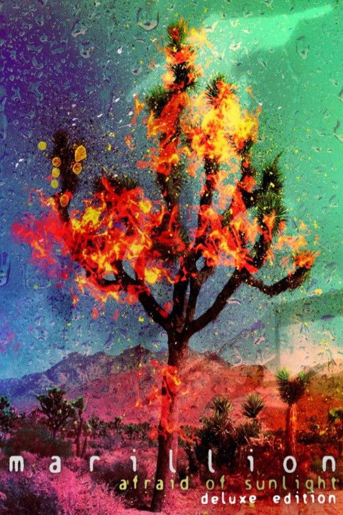 Marillion: Afraid of Sunlight (2019) poster