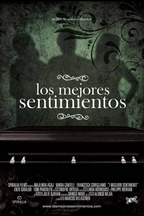 I migliori sentimenti (2007) poster