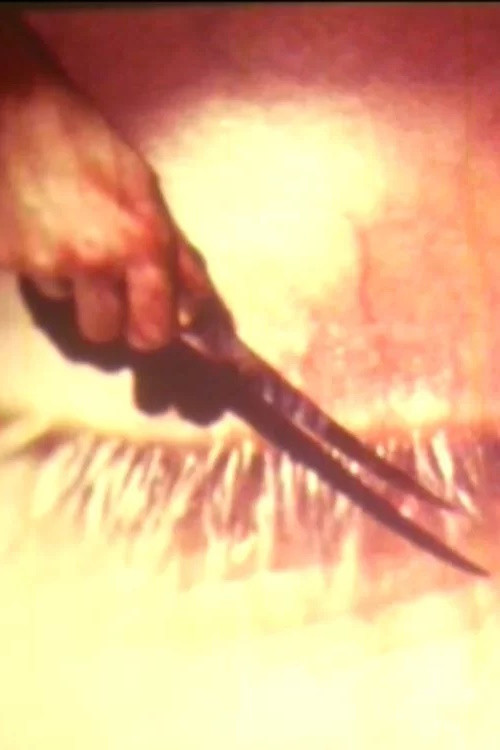 Sleeping (1979) poster