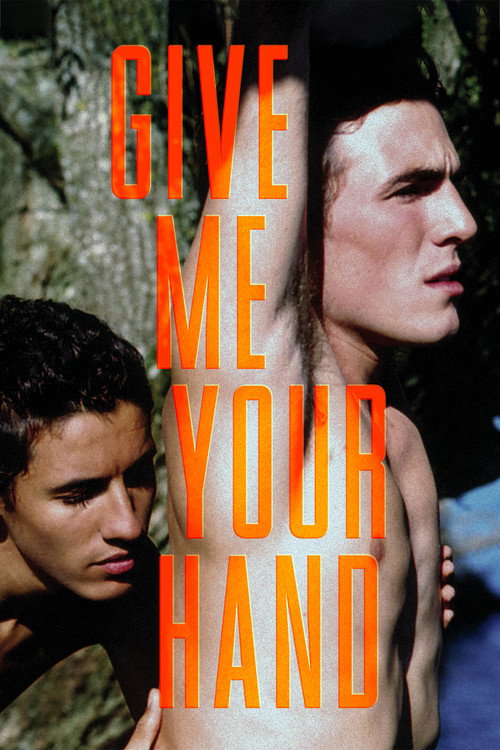 Donne-moi la main (2008) poster