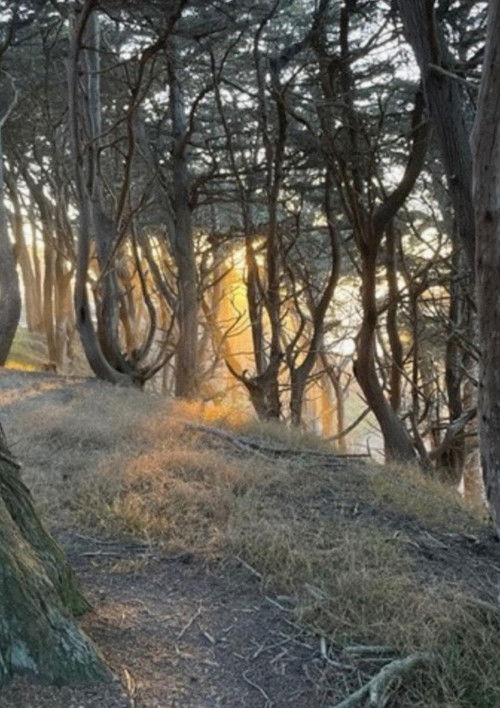 O Death (2023) poster