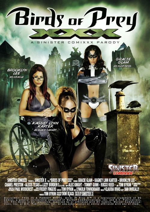 Birds Of Prey XXX : A Sinister Comixxx Parody (2012) poster
