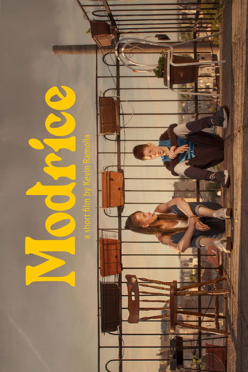 Bruises (2021) poster