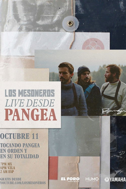 Los Mesoneros Live Desde Pangea (2020) poster