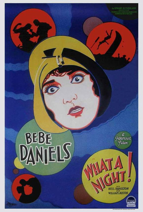 What a Night! (1928) poster