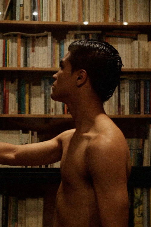 The Double Coincidence of Desires (2013) poster