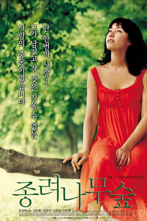 종려나무 숲 (2005) poster