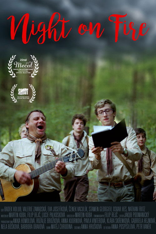 Night on Fire (2019) poster