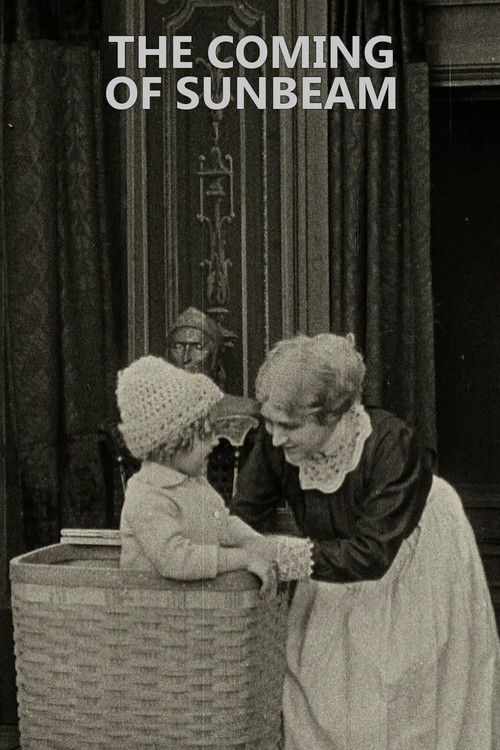 The Coming of Sunbeam (1913) poster