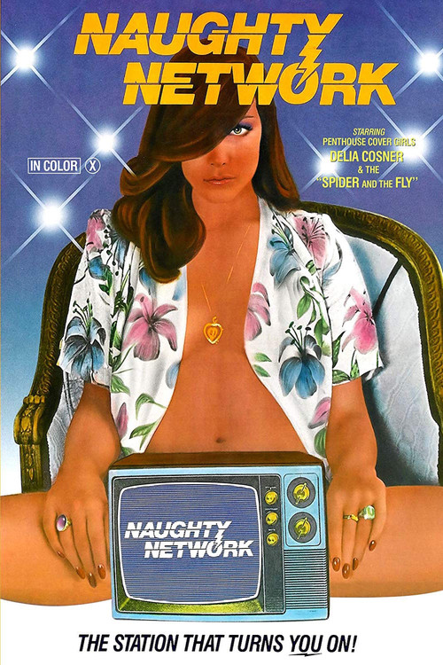 Naughty Network (1981) poster