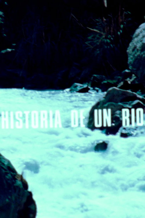 Historia de un río (1980) poster