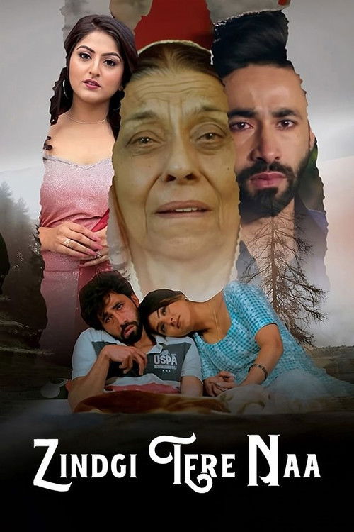 Zindgi Tere Naa (2024) poster