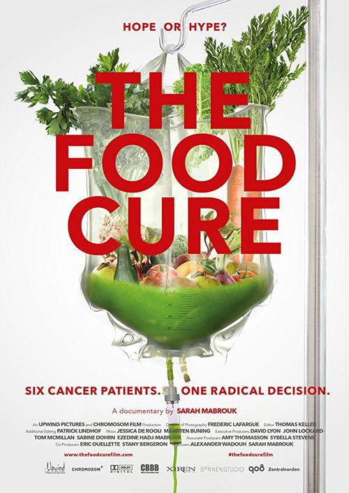The Food Cure: Hope or Hype? (2018) poster