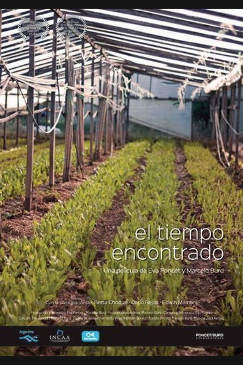 El tiempo encontrado (2015) poster