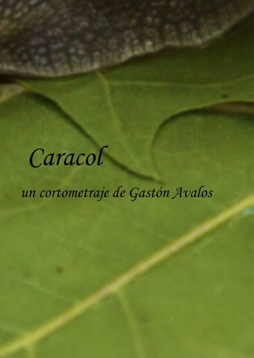 Caracol (2023) poster