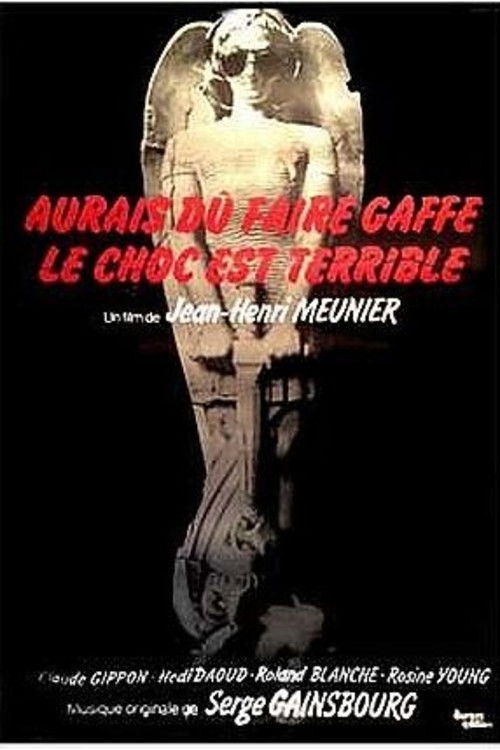 Aurais dû faire gaffe... le choc est terrible (1977) poster