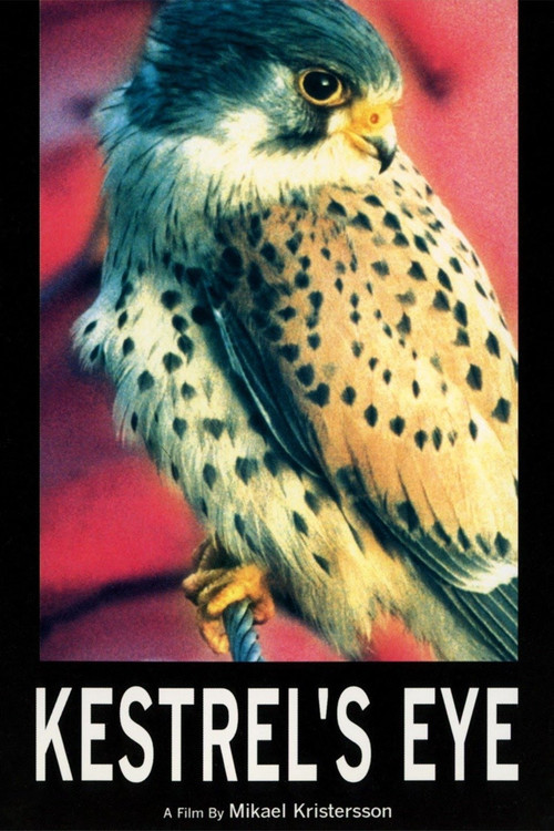 Kestrel's Eye (1998) poster