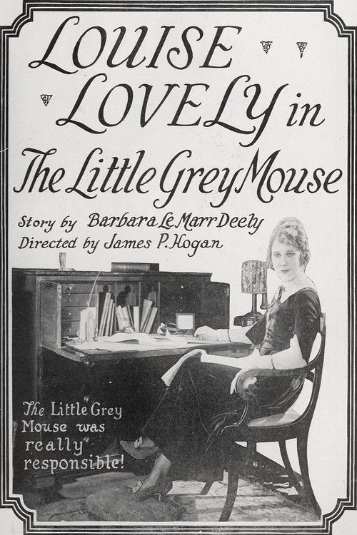 The Little Grey Mouse (1920) poster
