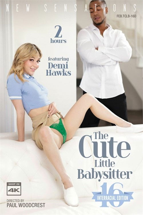 The Cute little Babysitter 16 (2023) poster