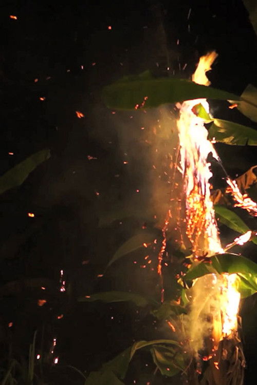 Mêkông Mechanical (2012) poster