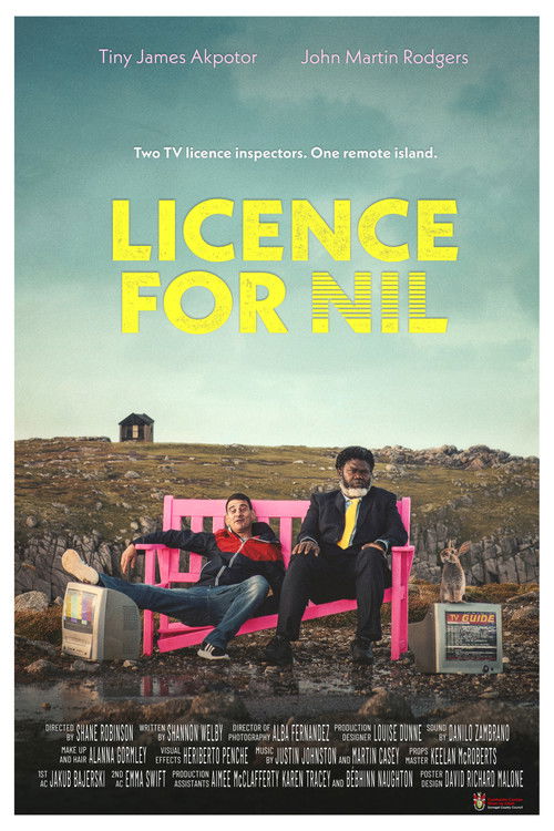 Licence for Nil (2023) poster