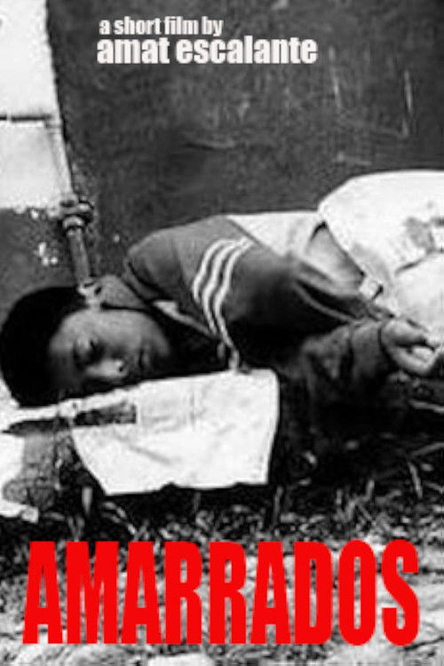 Tied Up (2002) poster