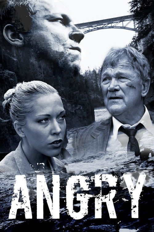 Angry (2010) poster