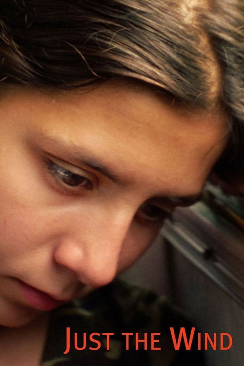 Sadece Rüzgar (2012) poster