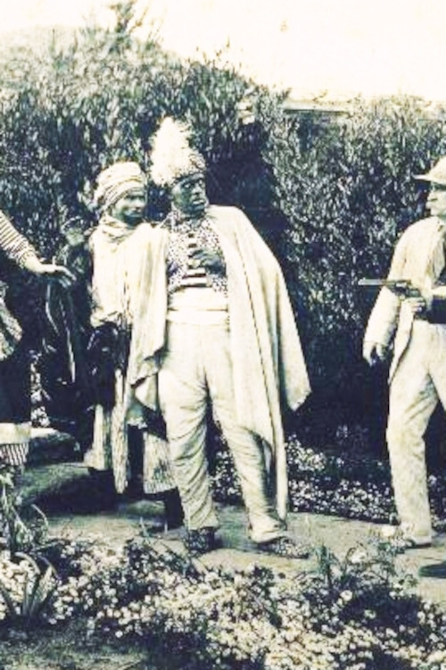 The White Panther (1924) poster