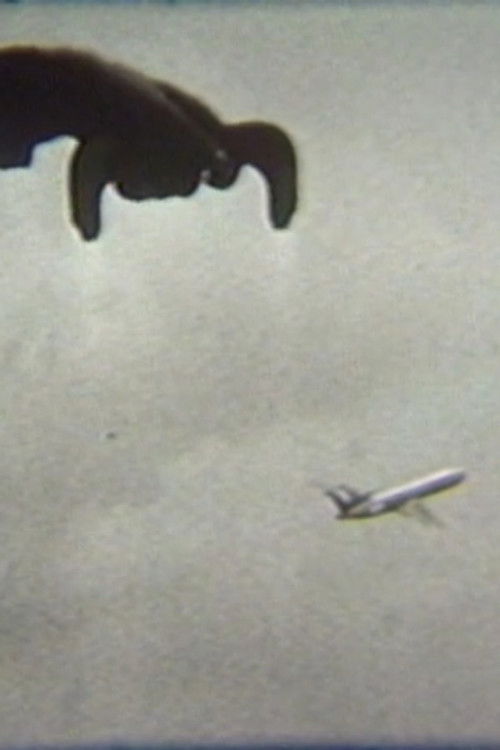 Flying (1979) poster