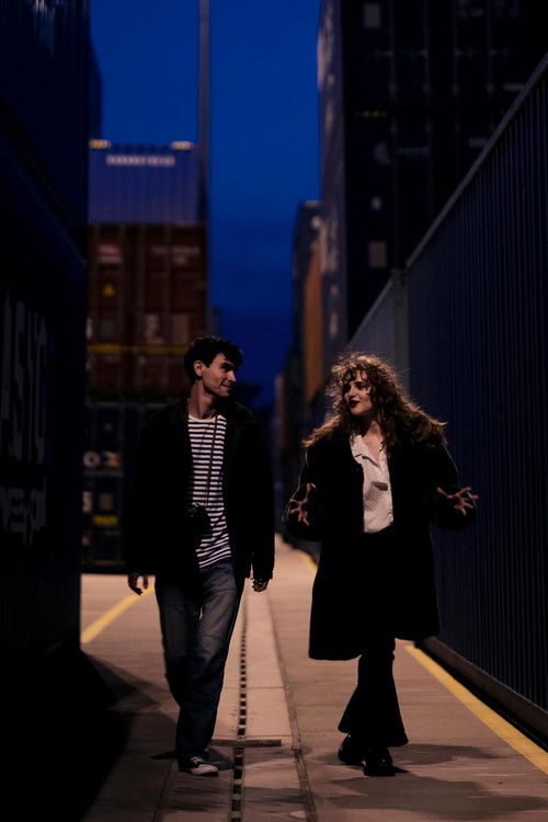 Night Express (2024) poster