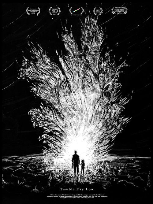 Tumble Dry Low (2015) poster