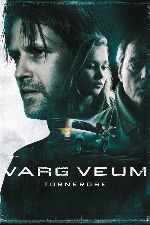 Varg Veum - Sleeping Beauty (2008) poster